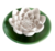 Aromasten Lotusblomma